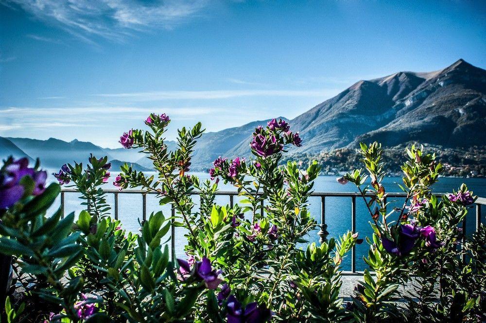 Du & Bellagio
